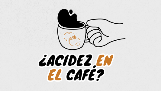 La acidez en el café: equilibrio, origen y sabor