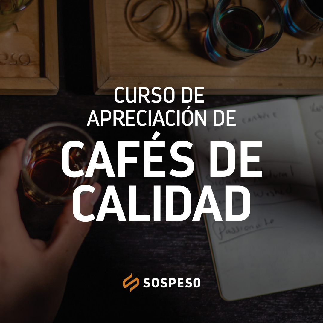Curso de Apreciación de Cafés de Calidad